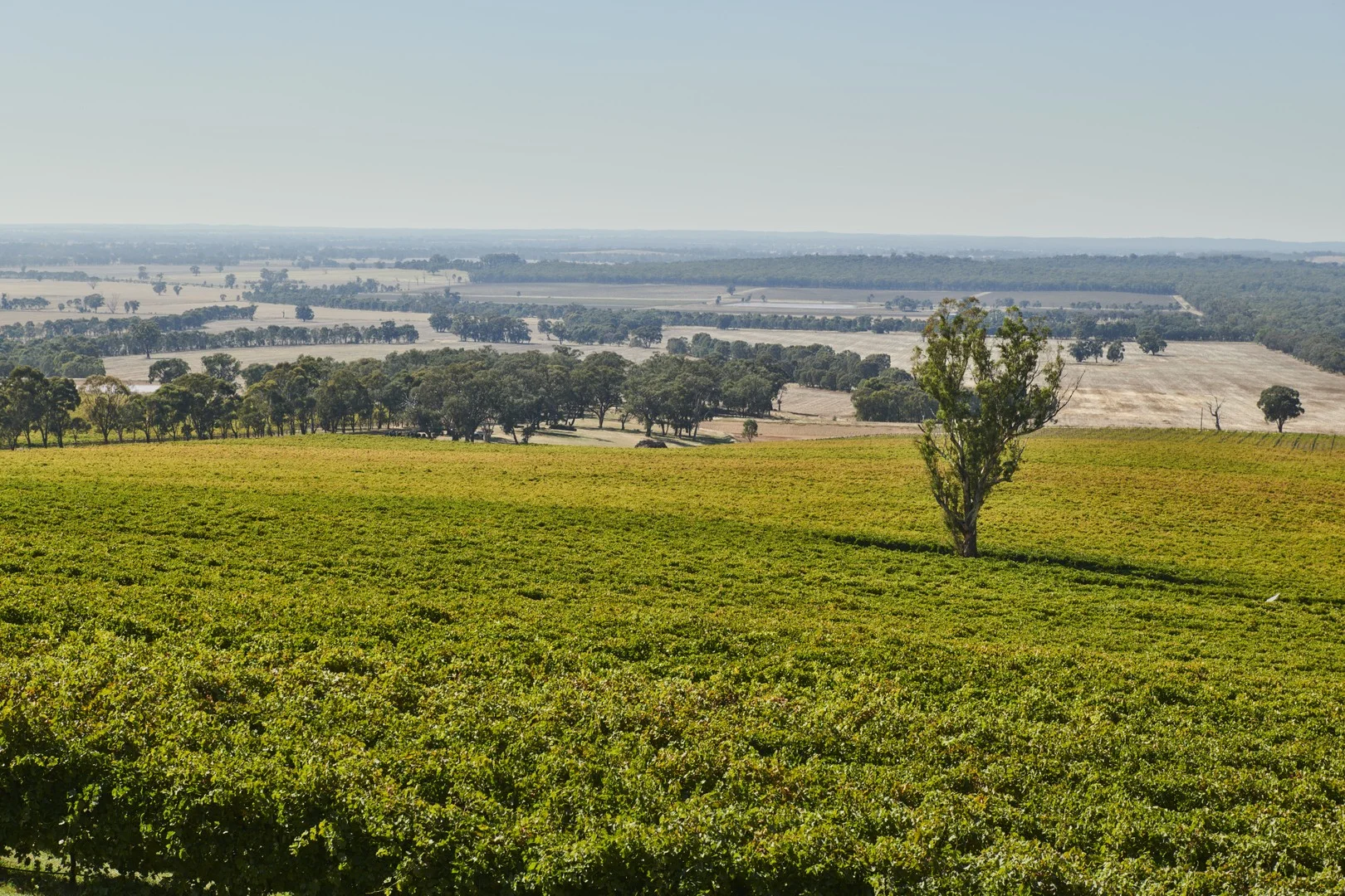 Lot 14/60 Caldwell Street, Heathcote VIC 3523