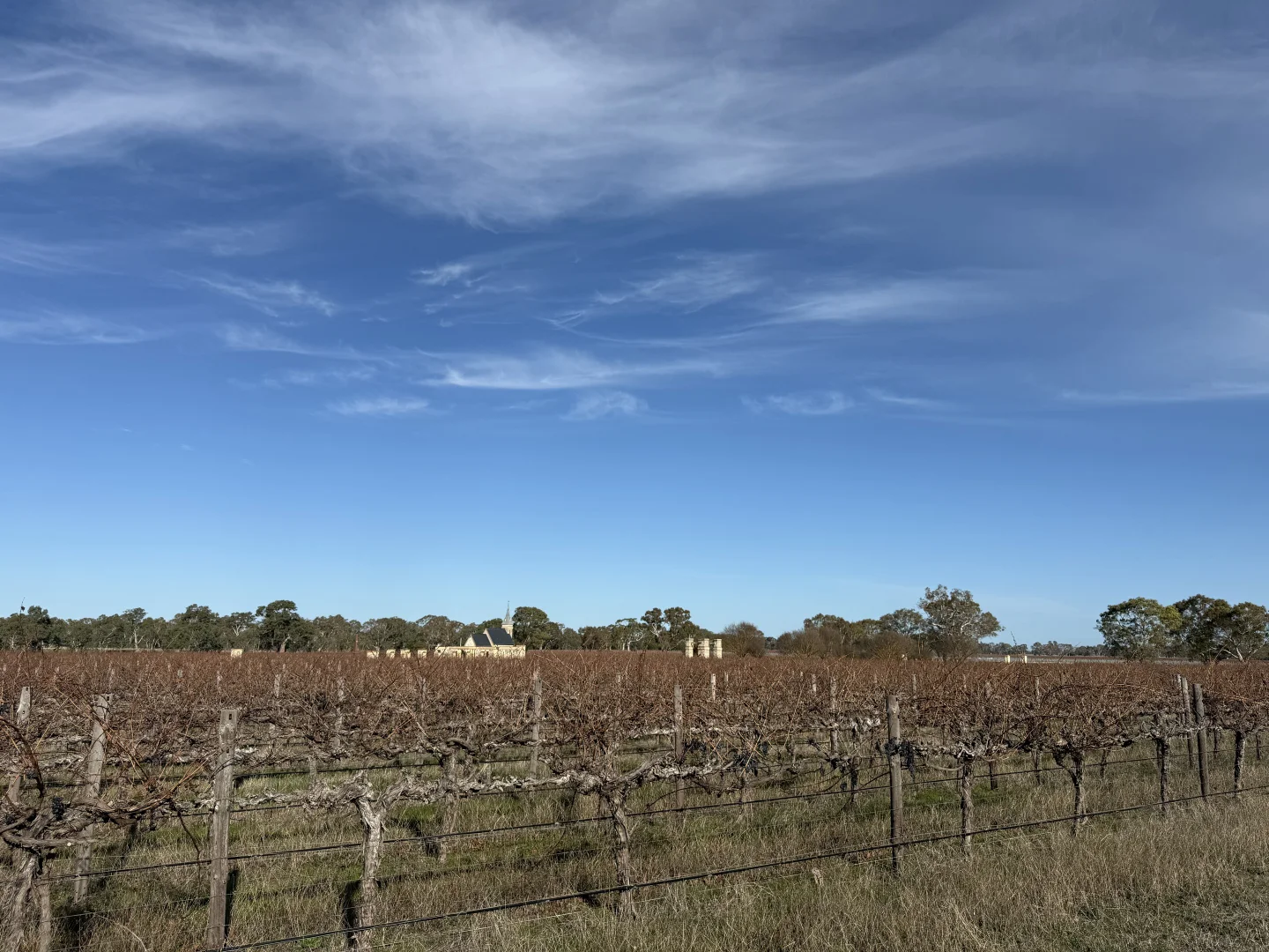 Additional image 11 of Lot 100 Dergholm Road, Penola SA 5277