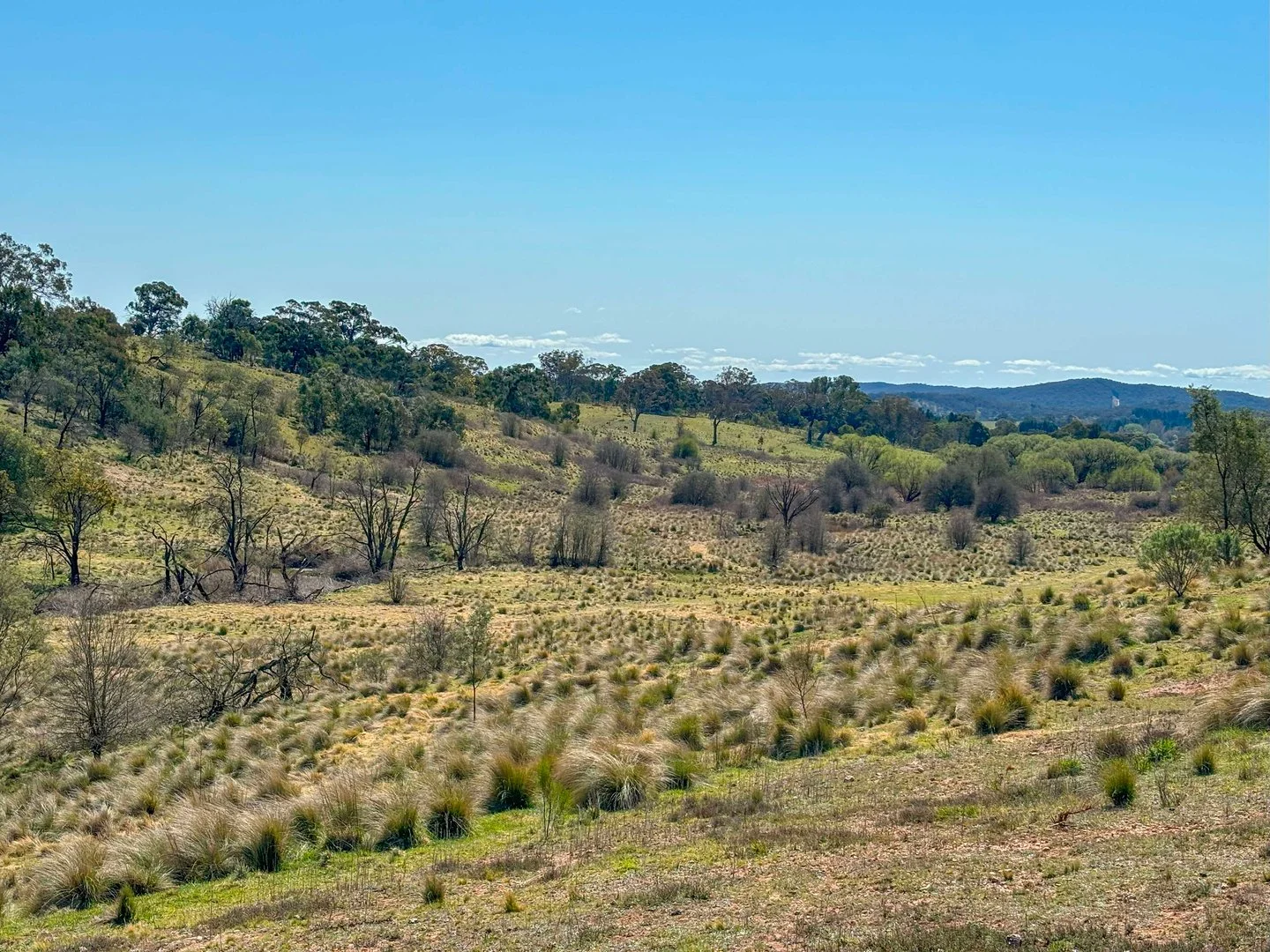 Additional image 34 of 22 Top Flat Lane, Wamboin NSW 2620