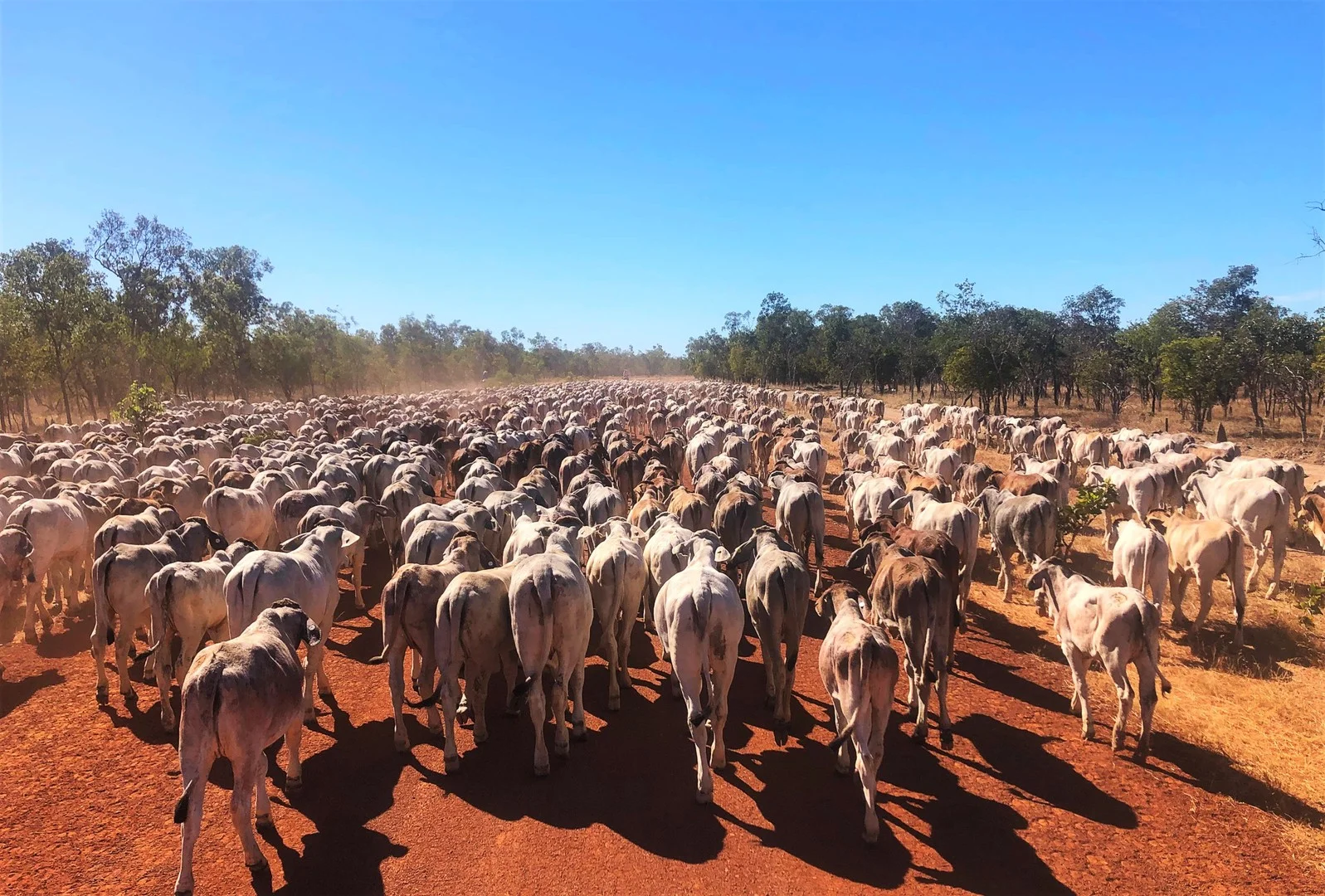 Additional image 2 of 0 Burke Developmental Road, Normanton QLD 4890