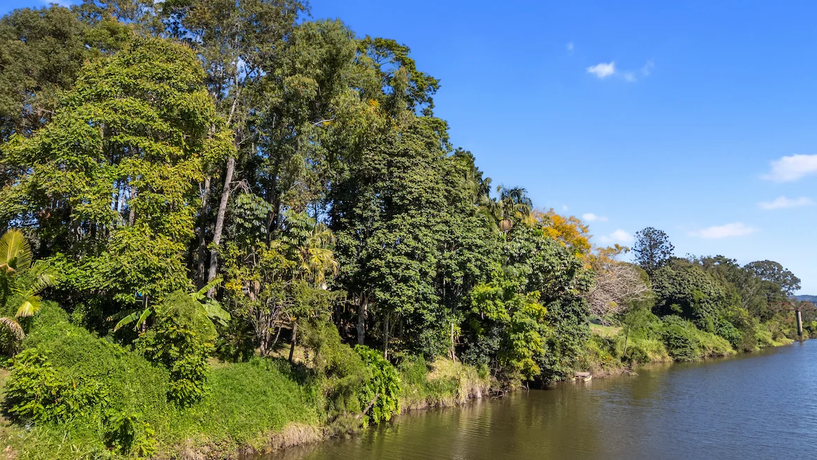 Additional image 8 of 135 Yabba Road, Imbil QLD 4570