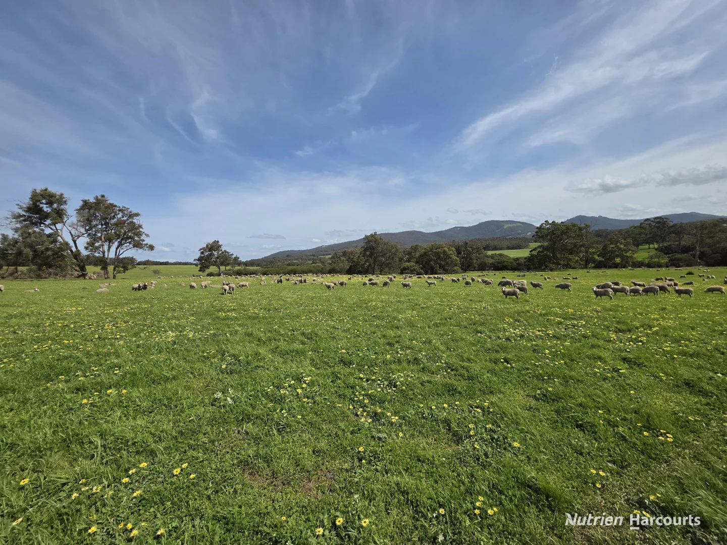 Additional image 36 of 4038 & 4184 Chesterpass Road, Takalarup WA 6324