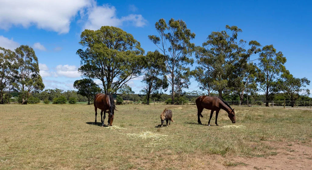 Additional image 26 of 330 Longs Hill Road, Pootilla VIC 3352