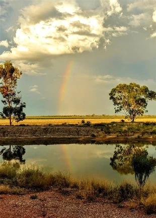 Additional image 8 of 569 Borehead Rd, Lightning Ridge NSW 2834
