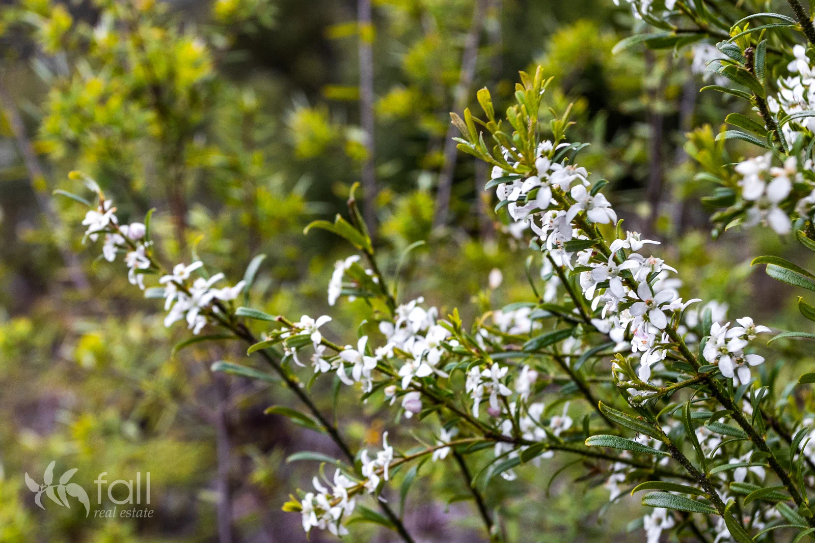 Additional image 5 of Lot 7 Abels Bay Road, Deep Bay TAS 7112