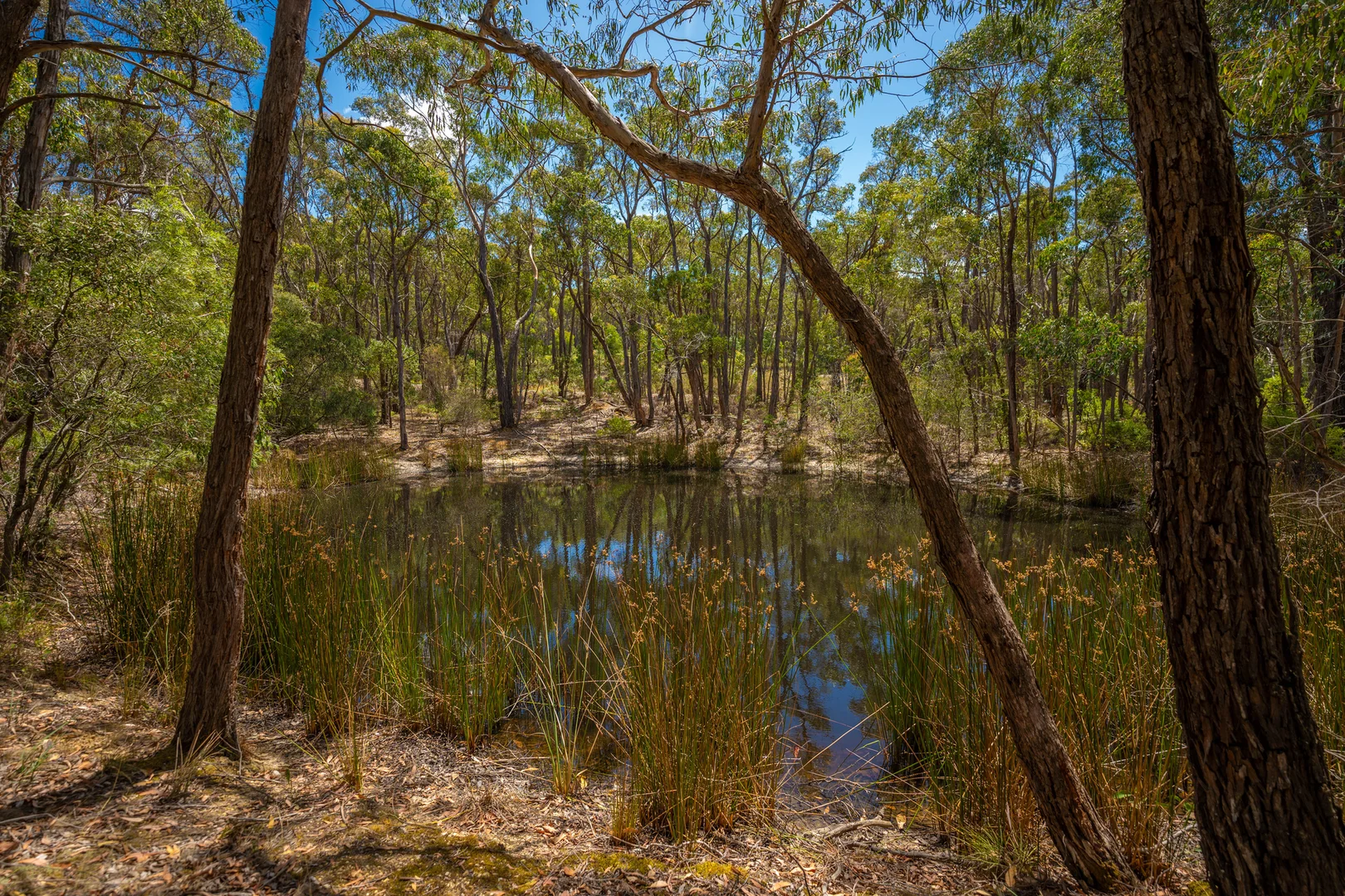 Additional image 10 of 30 Woodland Drive, Scarsdale VIC 3351