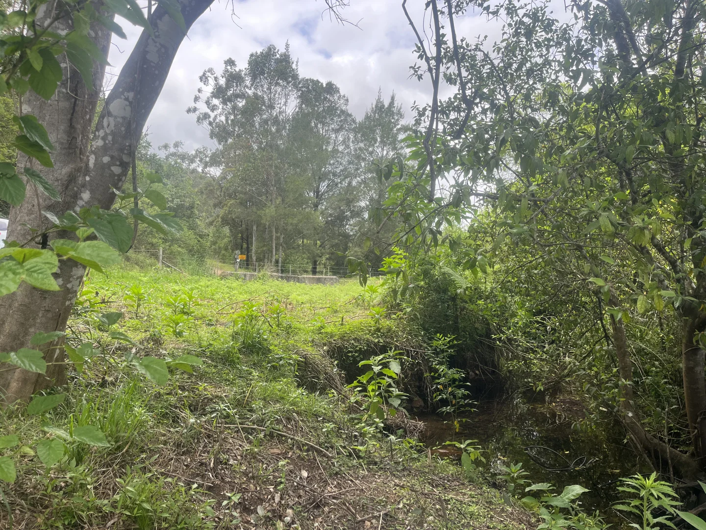 Additional image 4 of 173 Knodingbul Forest Road, Mount George NSW 2424