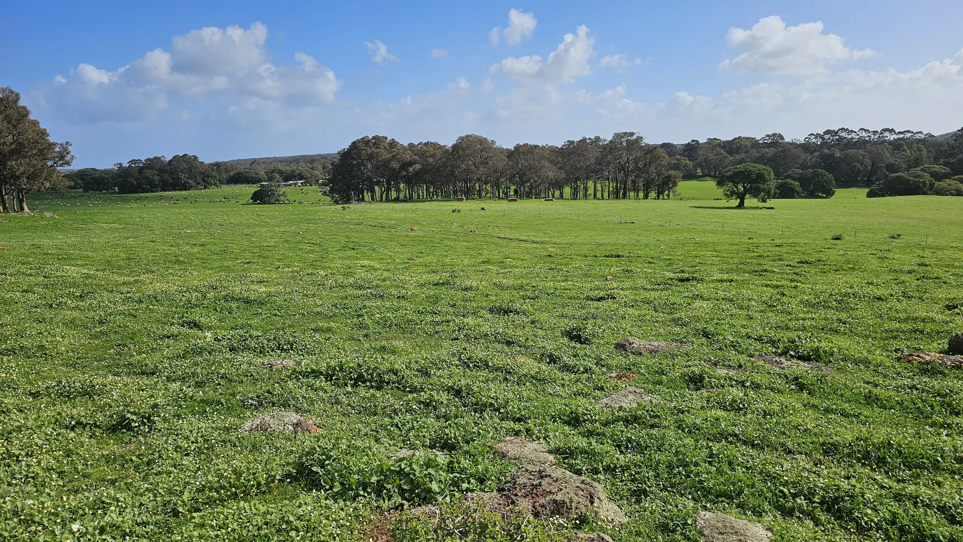 Additional image 9 of Lot 61 Caves Road, Burnside WA 6285