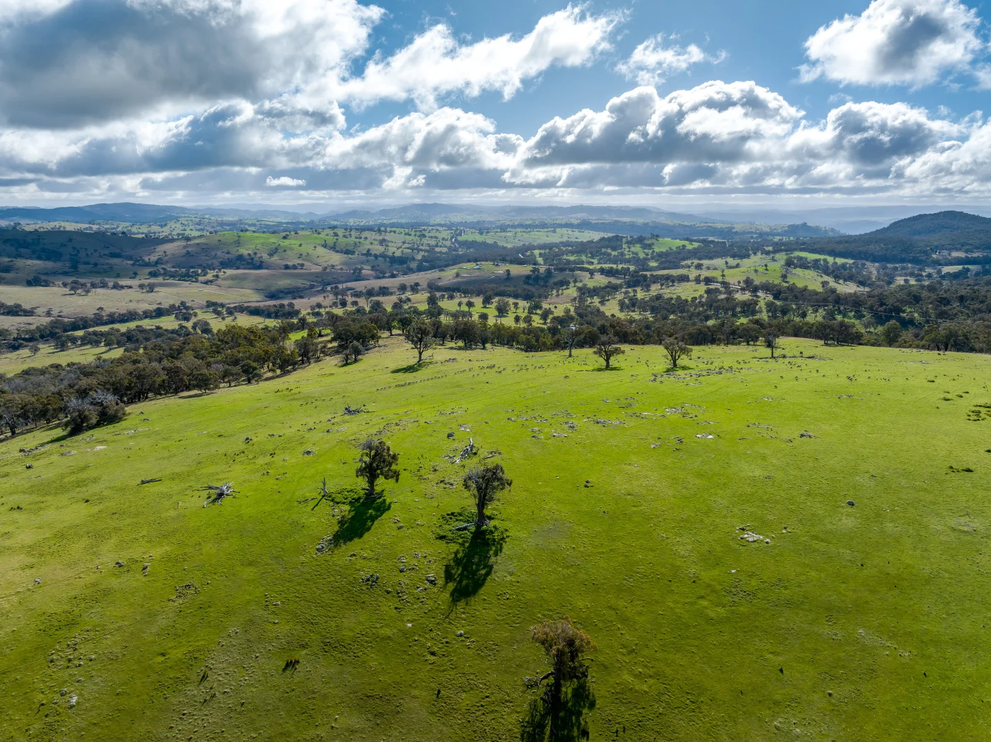 Additional image 10 of 2306 Bigga Road, Bigga NSW 2583