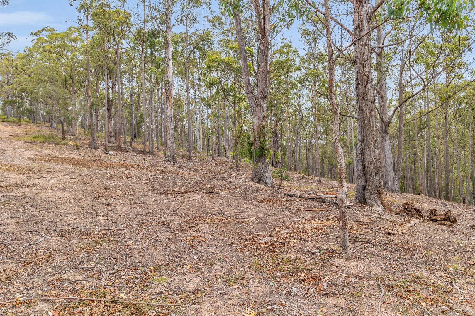 Additional image 7 of 82 Barrabooka North Road, Tanja NSW 2550
