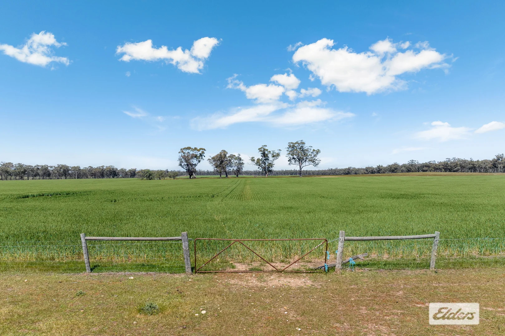 Additional image 5 of Laanecoorie-Newbridge Road, Newbridge VIC 3551