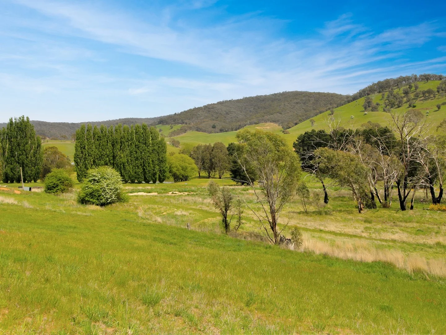 303 Omeo Highway, Omeo VIC 3898