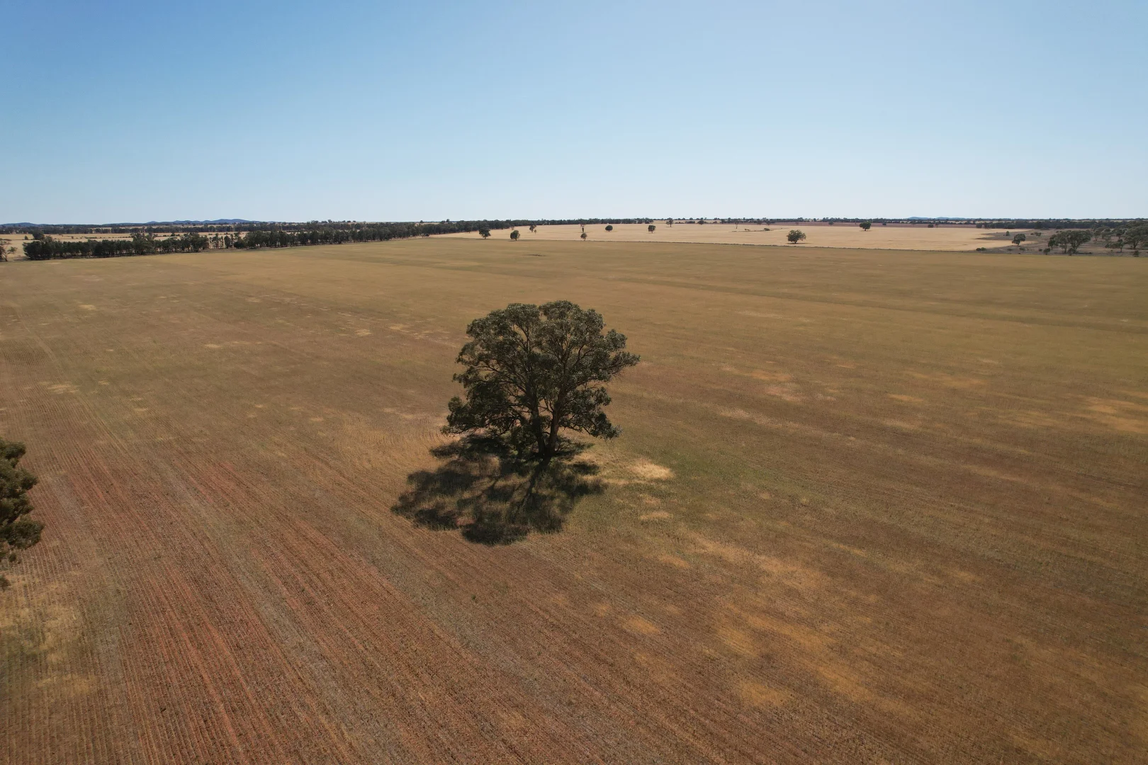 Additional image 9 of 'Boree Glen' 456 Whymarks Lane, Tullibigeal NSW 2669