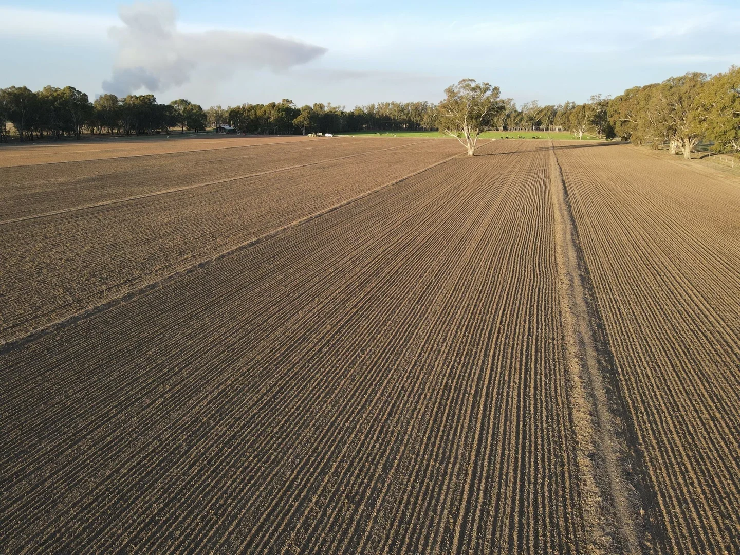 Additional image 40 of 52 Sheehan Rd, Koonoomoo VIC 3644