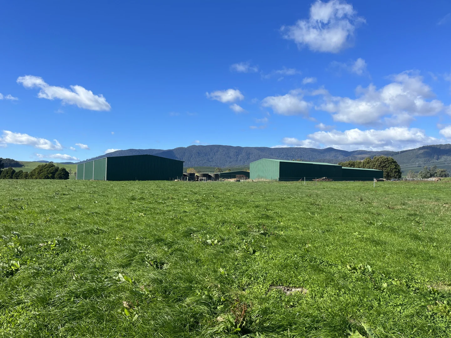 Additional image 5 of 630 Ten Mile Track, Springfield TAS 7260