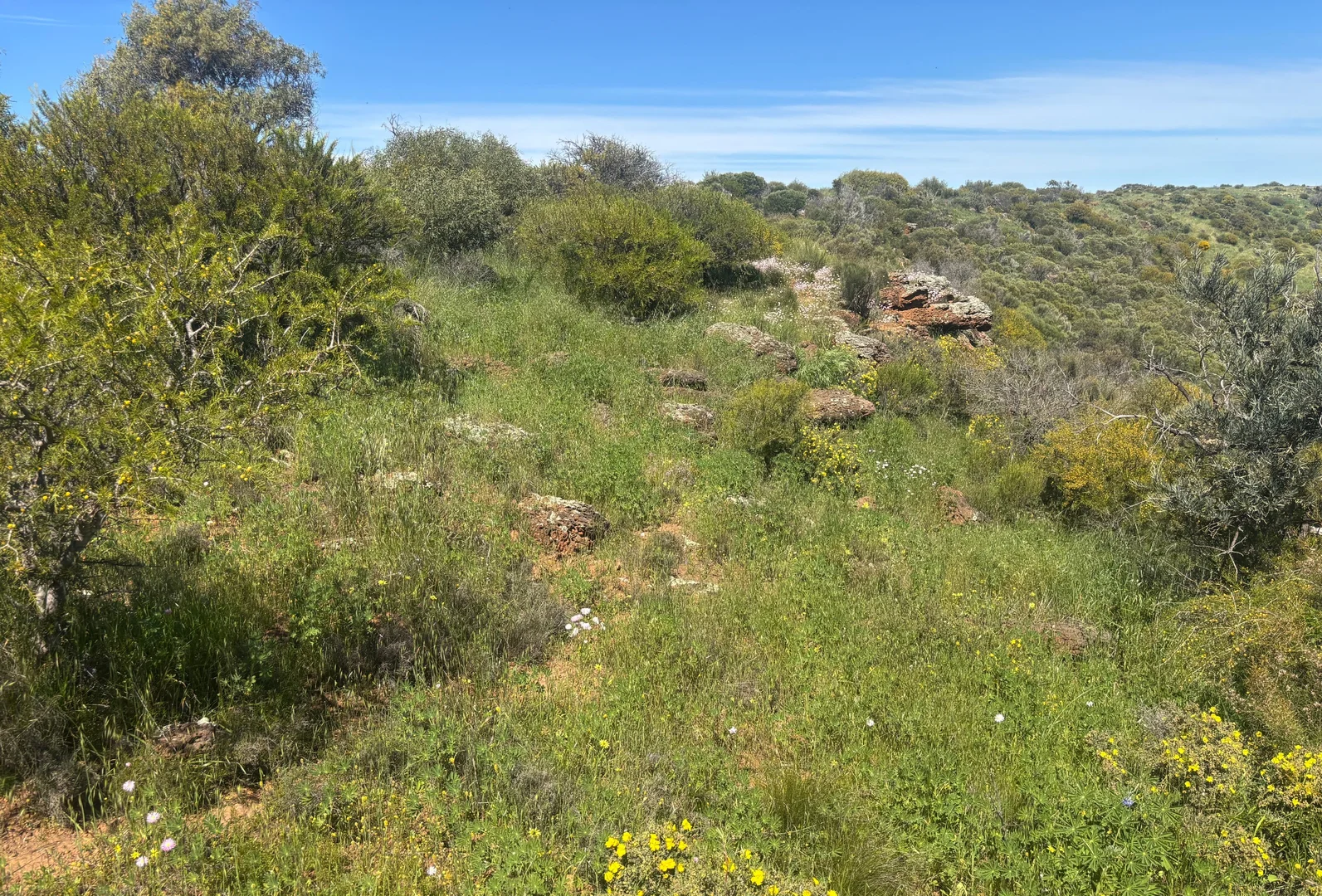 Additional image 4 of 9500 Chapman Valley Road, Narra Tarra WA 6532