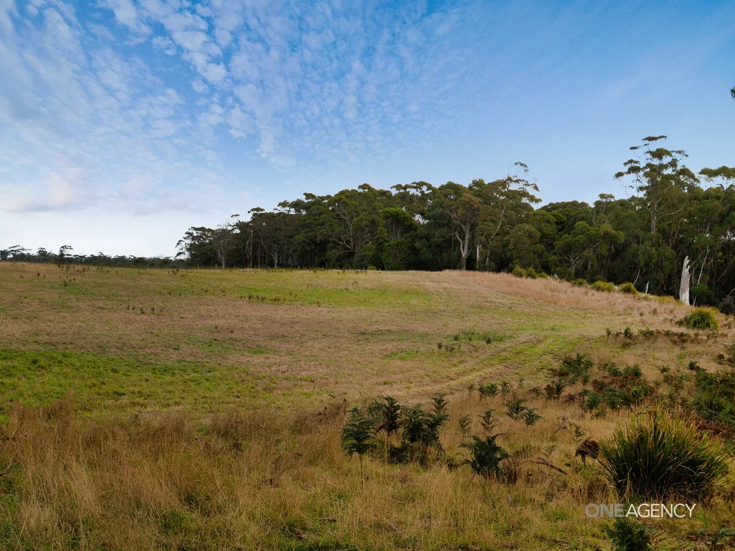 Additional image 6 of Lot 1 Boyndey Road, Black River TAS 7321