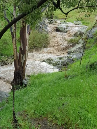 Additional image 4 of Lot 31 Lehmans Road, Talgarno VIC 3691