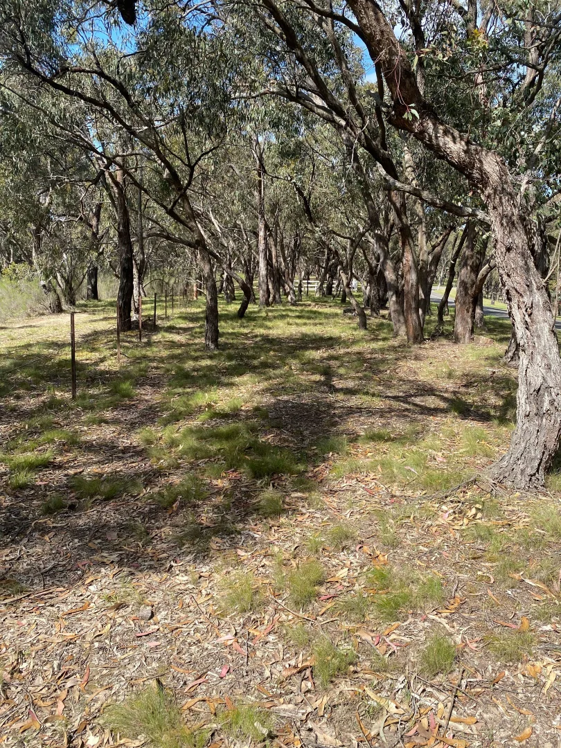 Additional image 4 of 37 Eastern Ridge, Wallan VIC 3756