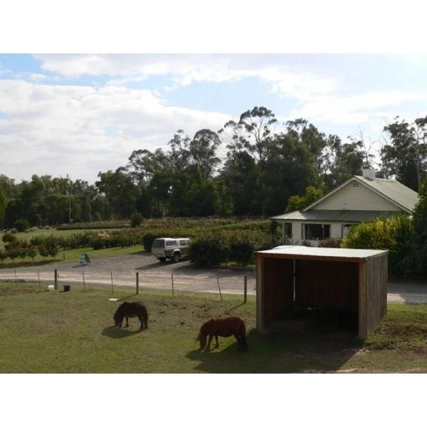 Additional image 18 of 77 HEALESVILLE-KOO WEE RUP, Healesville VIC 3777