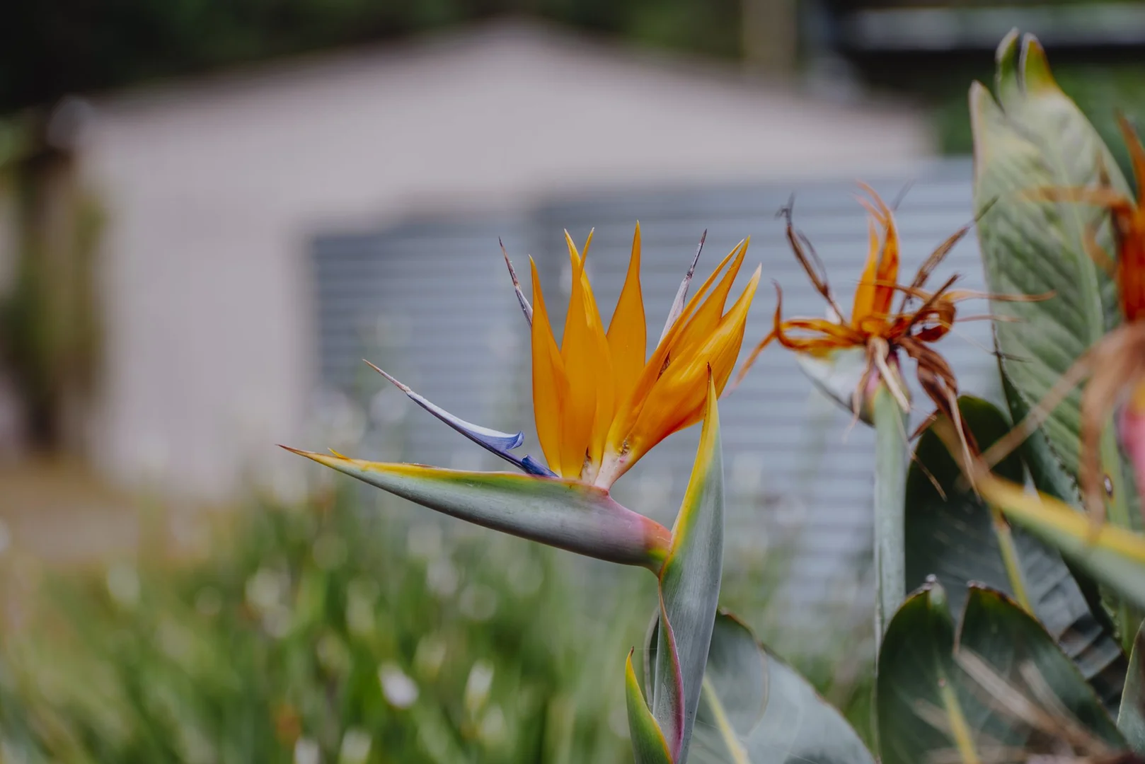 Additional image 23 of 56 Bakers Oven Lane, Laguna NSW 2325