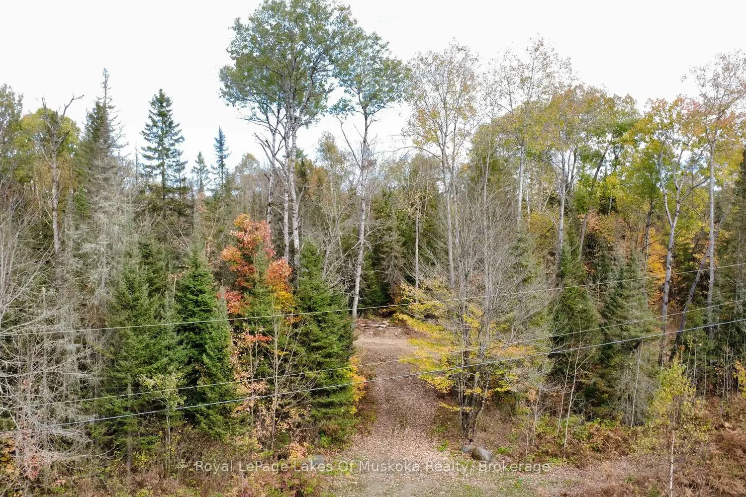 0 Forest Lake Road photo 3