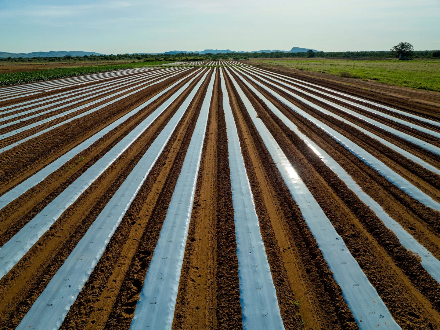 Additional image 27 of 349 Mulligans Lagoon Rd, Kununurra WA 6743