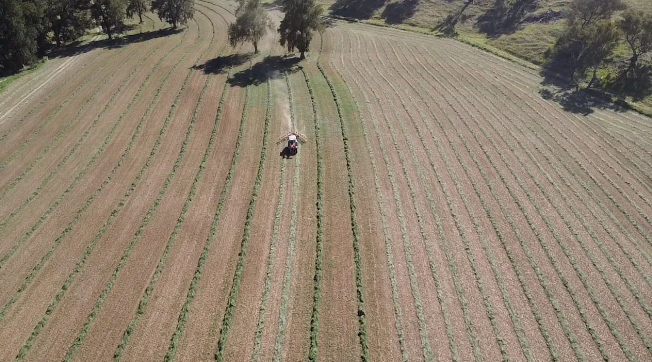 Additional image 20 of 2350 George Russell Drive, Canowindra NSW 2804