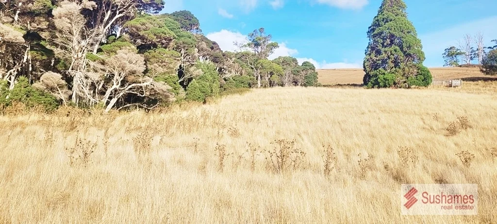 Additional image 10 of Lot 2 Storys Road, Lebrina TAS 7254