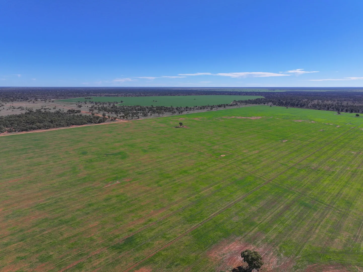 Additional image 5 of 1127 Green and Branders Road, Carinda NSW 2831