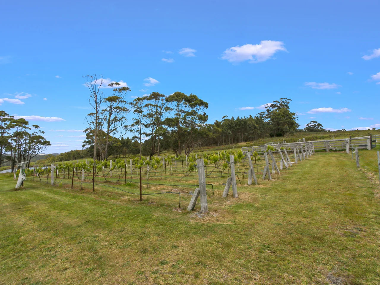 Additional image 19 of 262 Lake Road, Newmerella VIC 3886