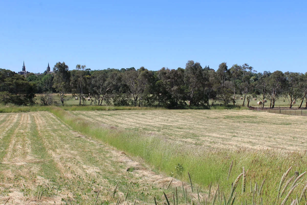 Additional image 7 of 71 Lodge Road, Hamilton VIC 3300