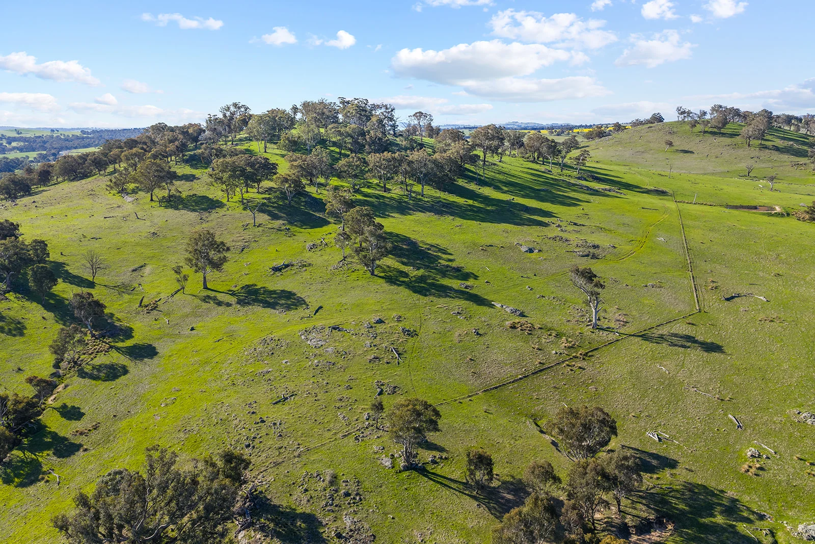 Additional image 34 of 1432 Lachlan Valley Way, Laverstock NSW 2582