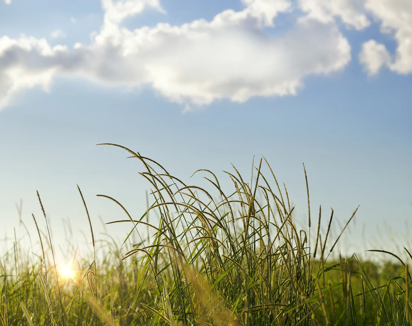 Additional image 6 of 17 Baltimore Court, Carrara QLD 4211