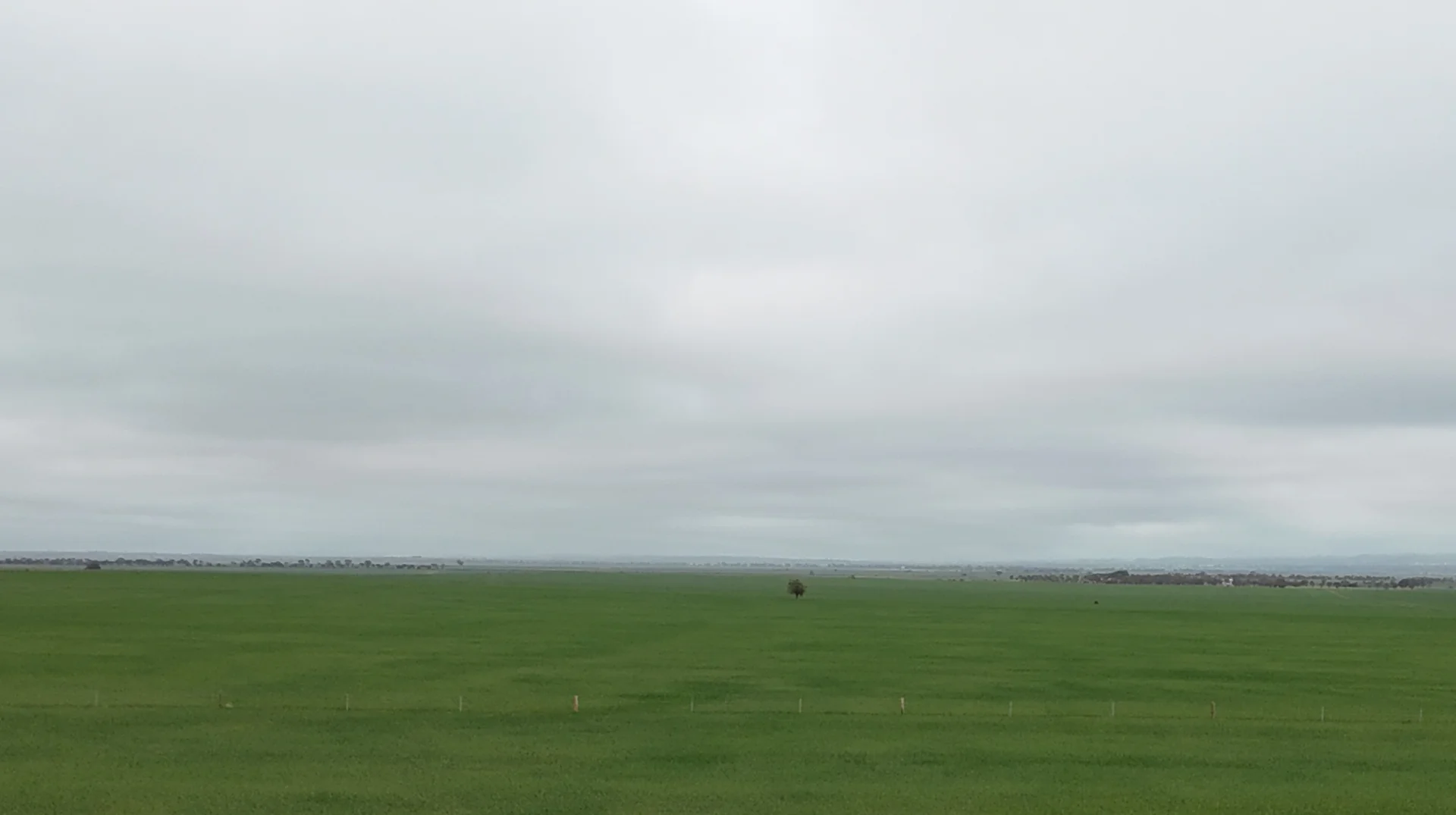 Additional image 14 of 26 Amyton Road, Willowie SA 5431