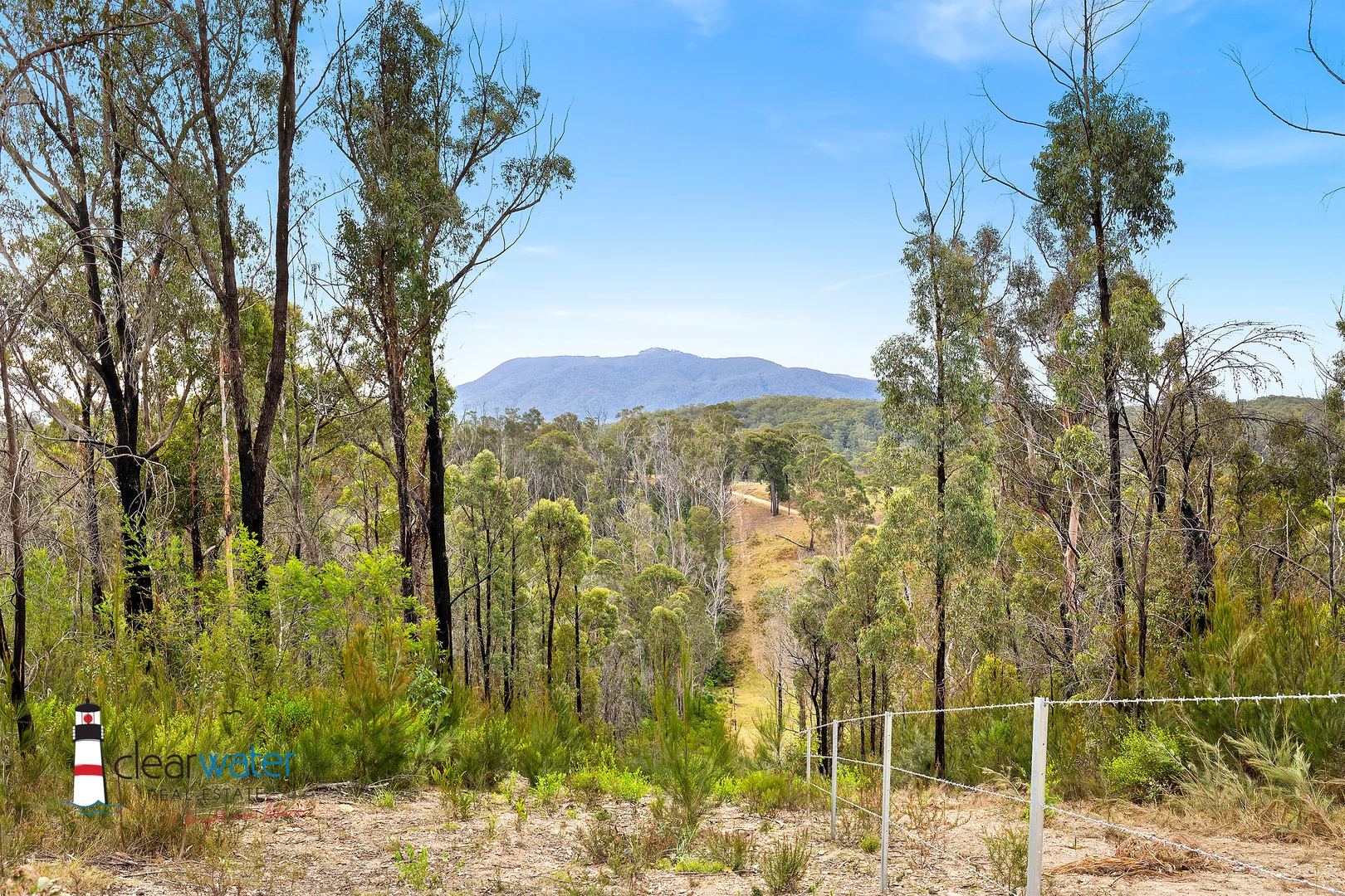 Additional image 7 of Lot 82 DP 819379/438 Cobargo Bermagui Road, Coolagolite NSW 2550