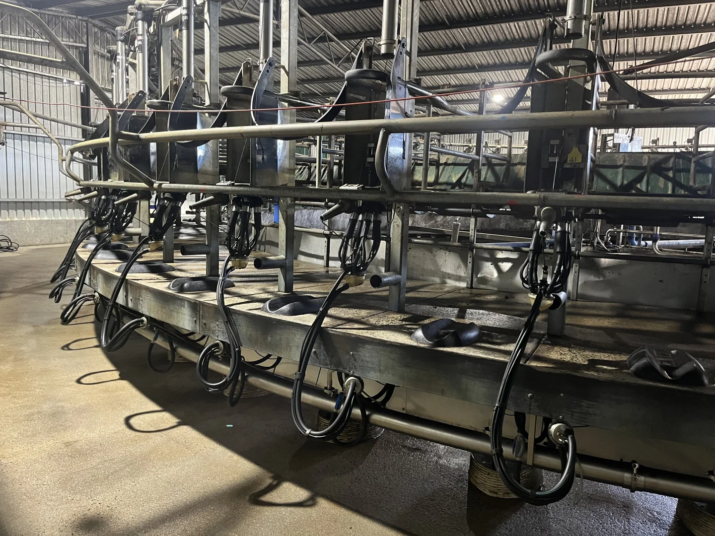 Additional image 9 of 630 Ten Mile Track, Springfield TAS 7260