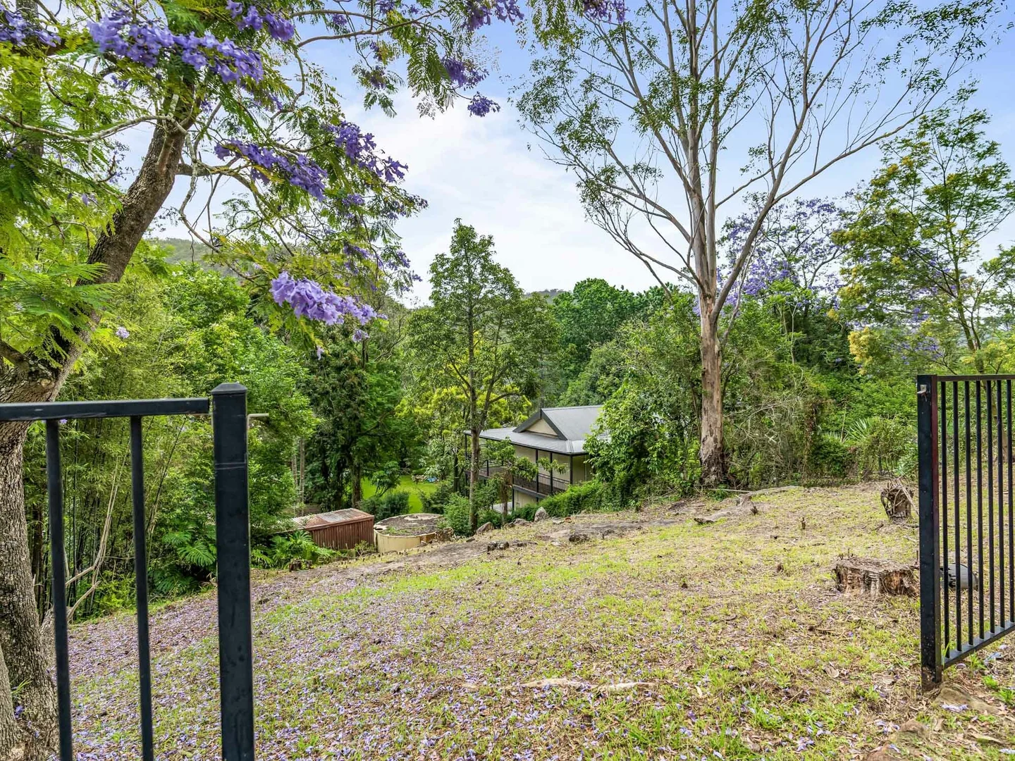 Additional image 10 of 537 Settlers Rd, Lower Macdonald NSW 2775