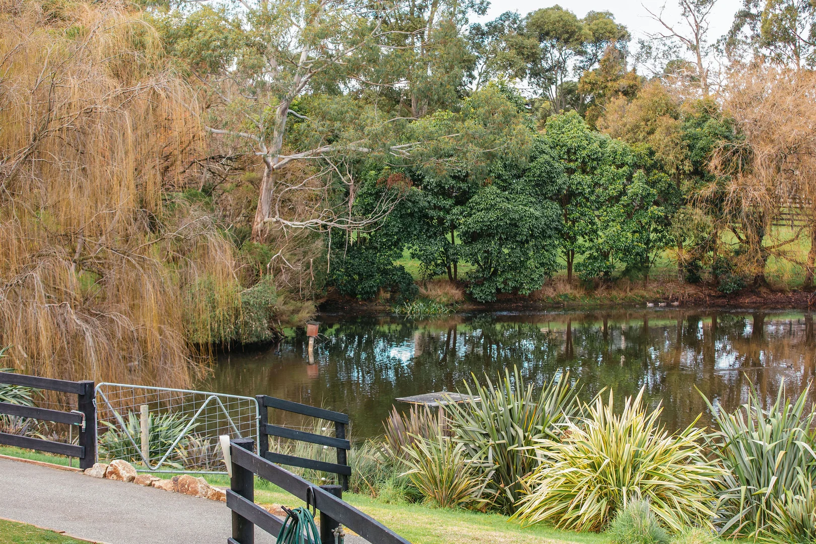 Additional image 28 of 349 Stumpy Gully Road, Balnarring VIC 3926