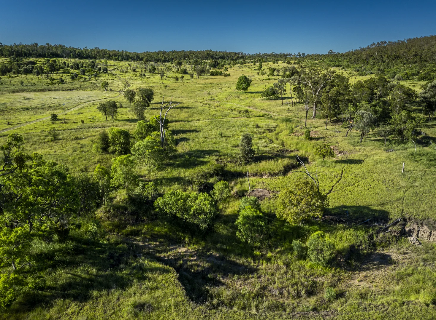 Additional image 13 of 833 Fosters Road, Guluguba QLD 4418
