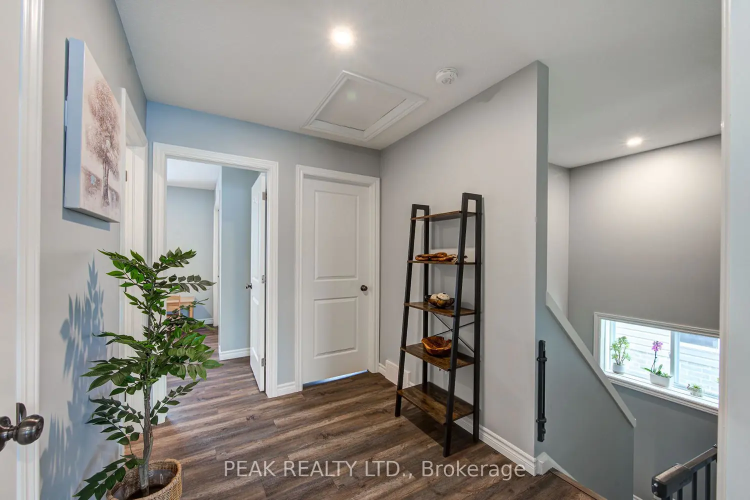 Additional image 8 of 28 Minler Street 3