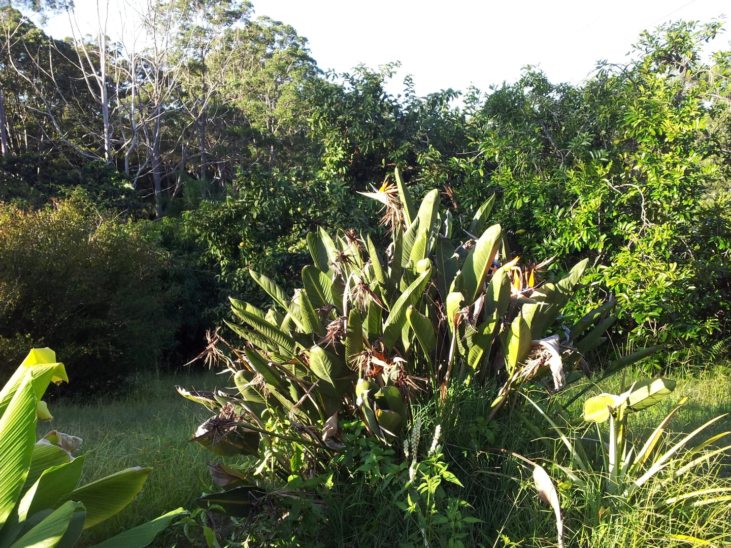 Additional image 25 of 74 Sudholz Road, Verrierdale QLD 4562