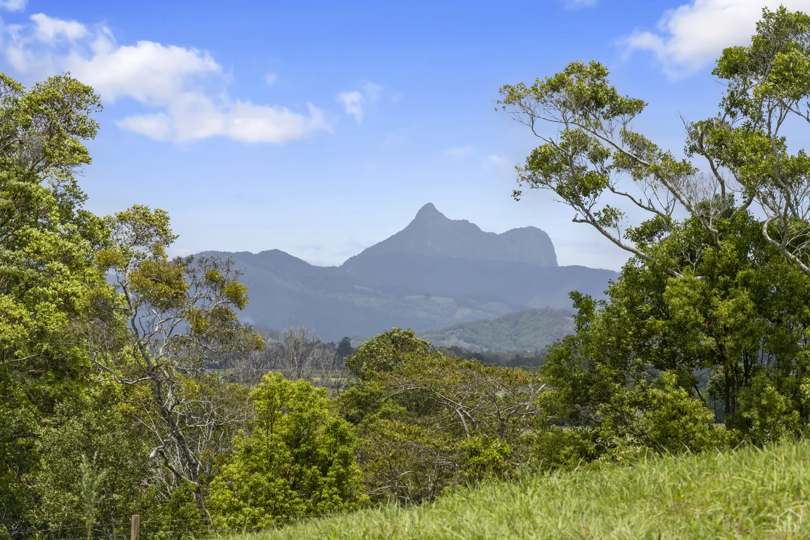 Additional image 9 of 193 Dulguigan Road, Dulguigan NSW 2484