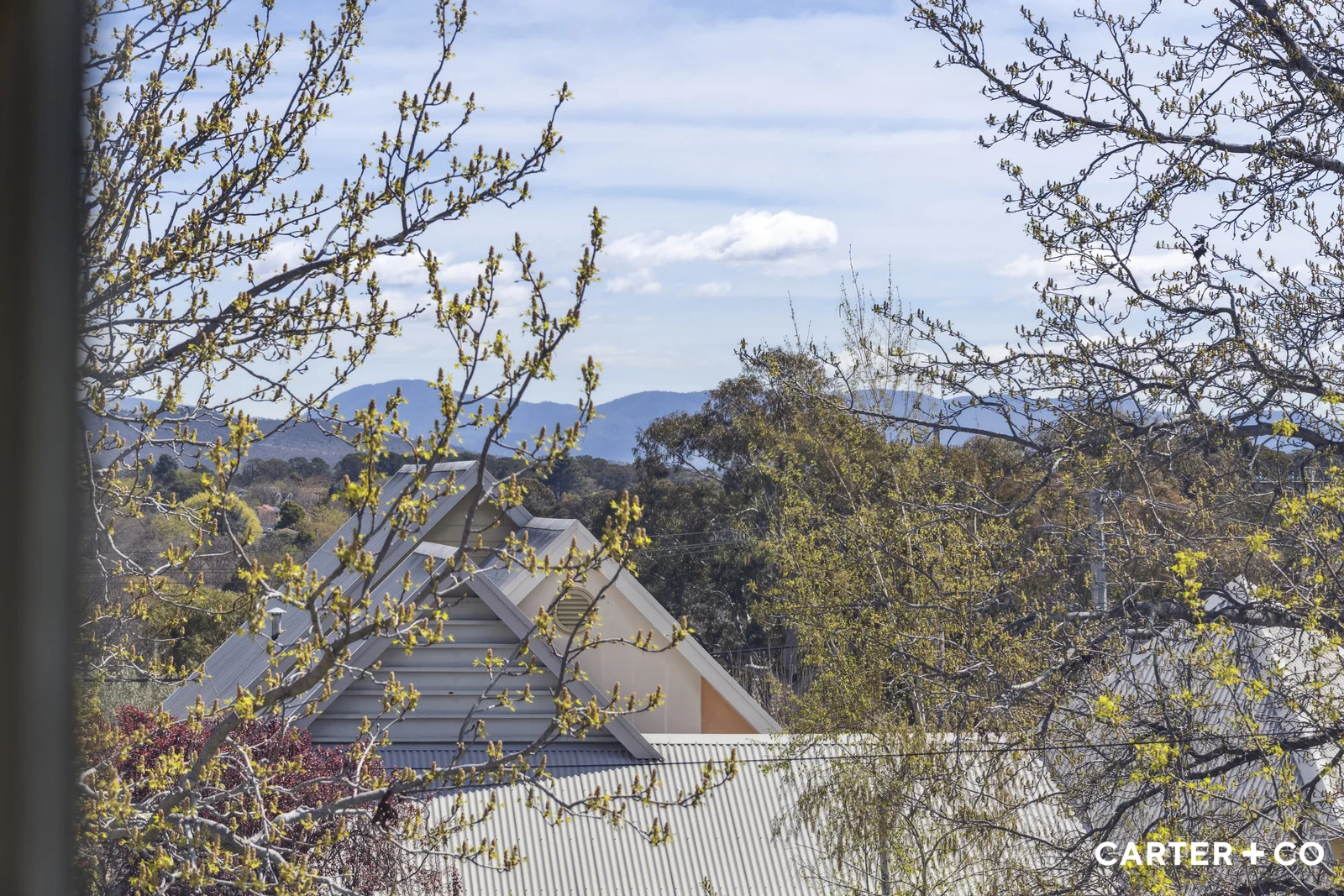 Additional image 25 of 16 Macdonnell Street, Yarralumla ACT 2600