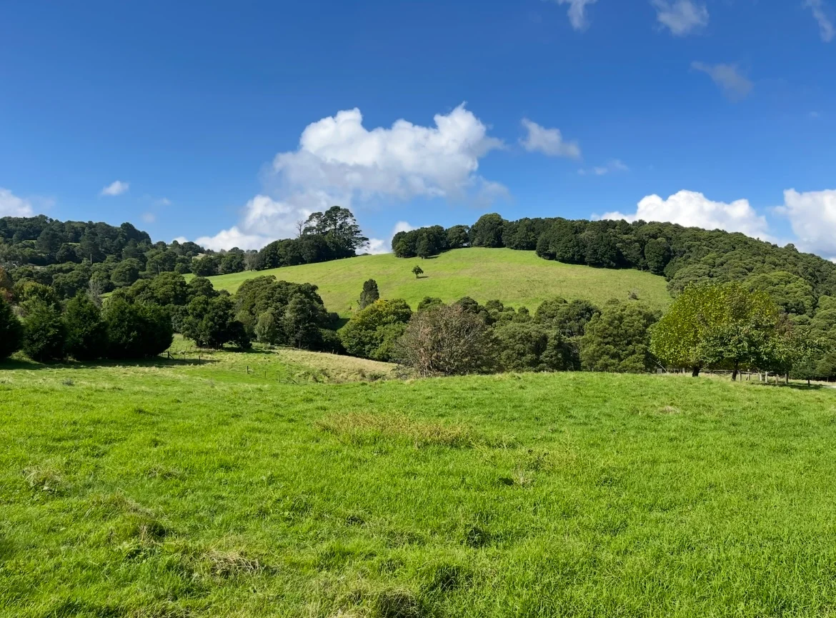 Additional image 6 of 2, 23 Missingham Parade, Robertson NSW 2577