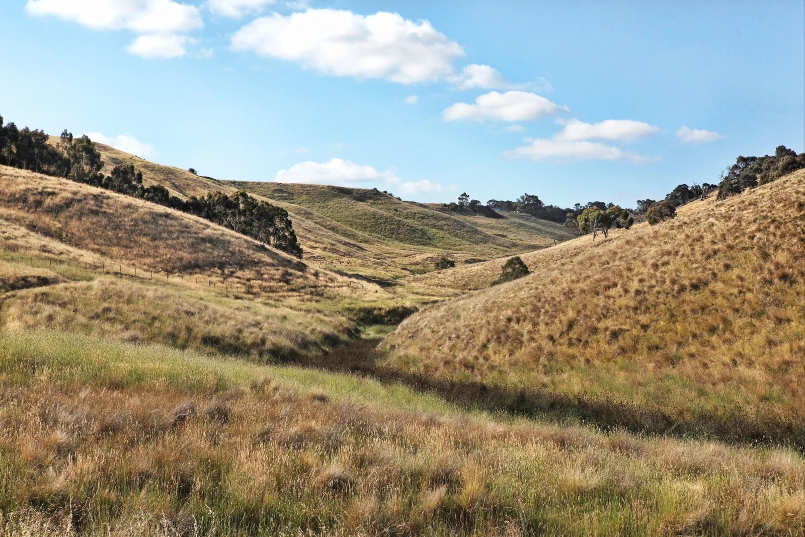 Additional image 18 of 490 Settlement Road, Sunbury VIC 3429