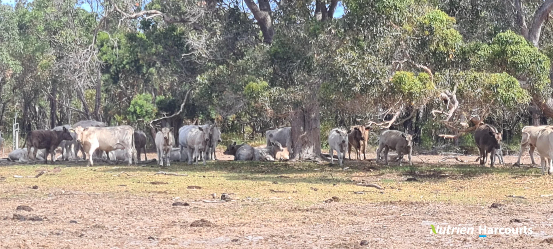 Additional image 36 of 267 Spencer Road, Narrikup WA 6326