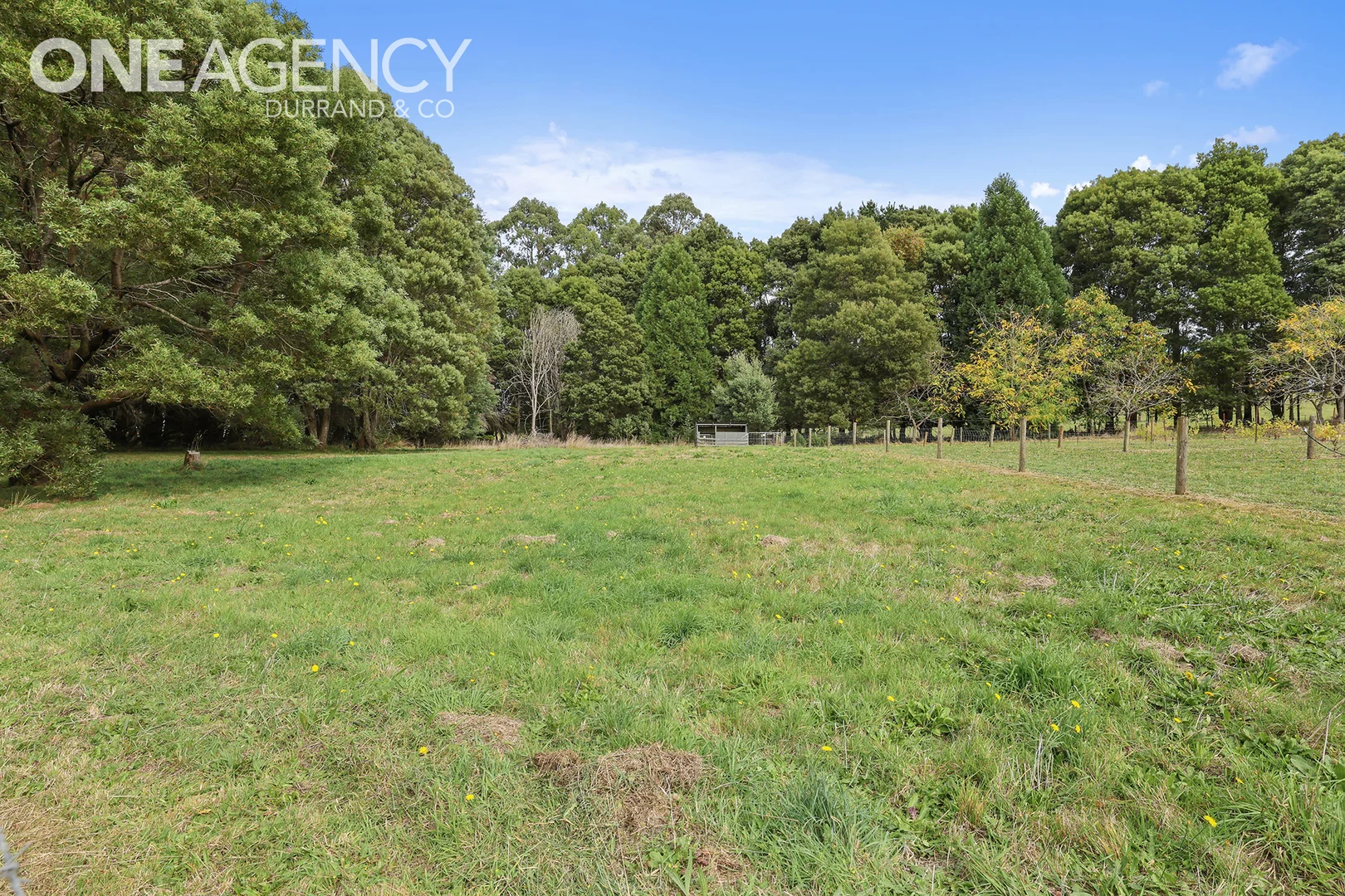 Additional image 29 of 255 Neerim North Road, Neerim North VIC 3832