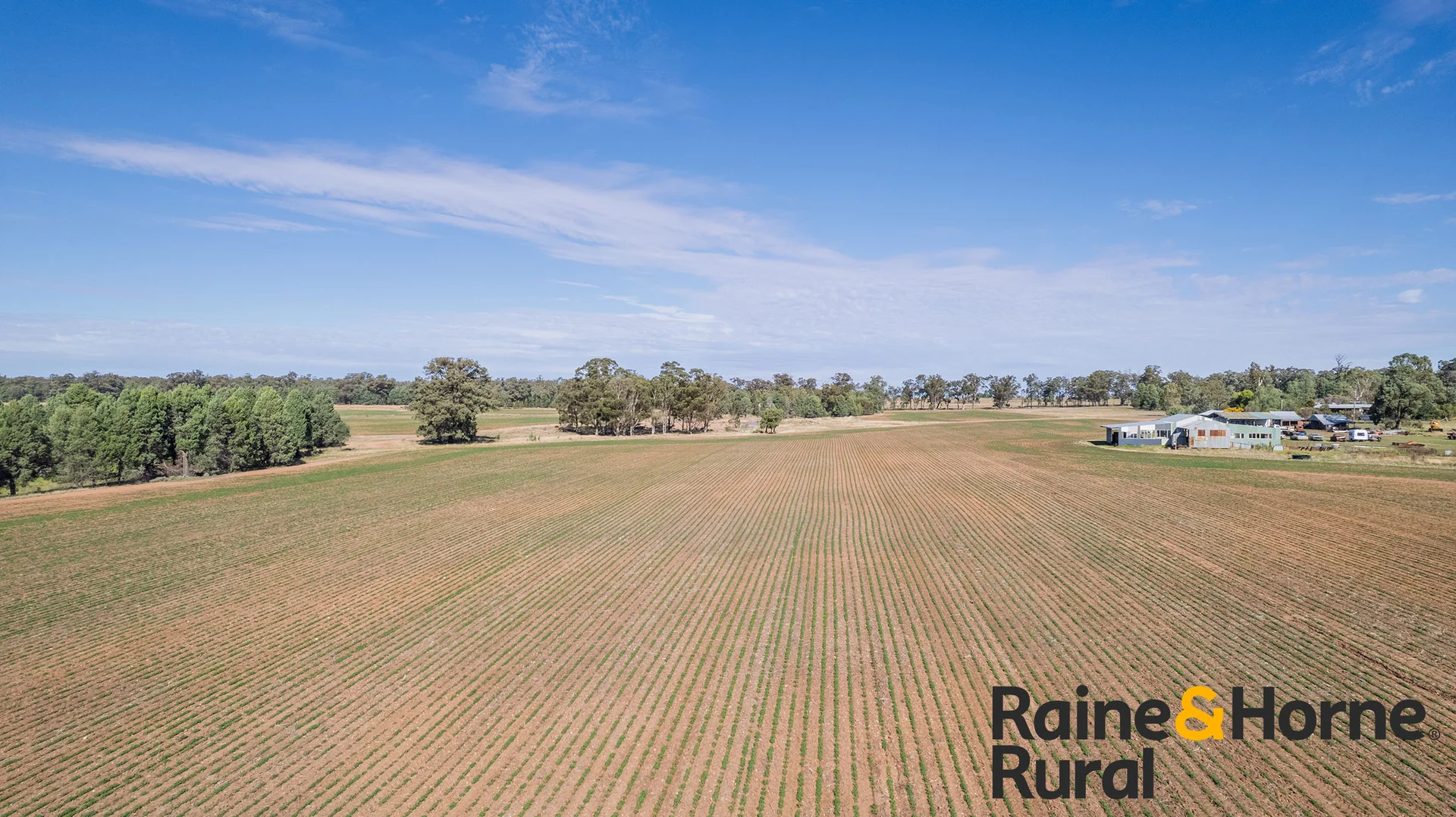 Additional image 16 of 1186 Newell Highway, Gilgandra NSW 2827