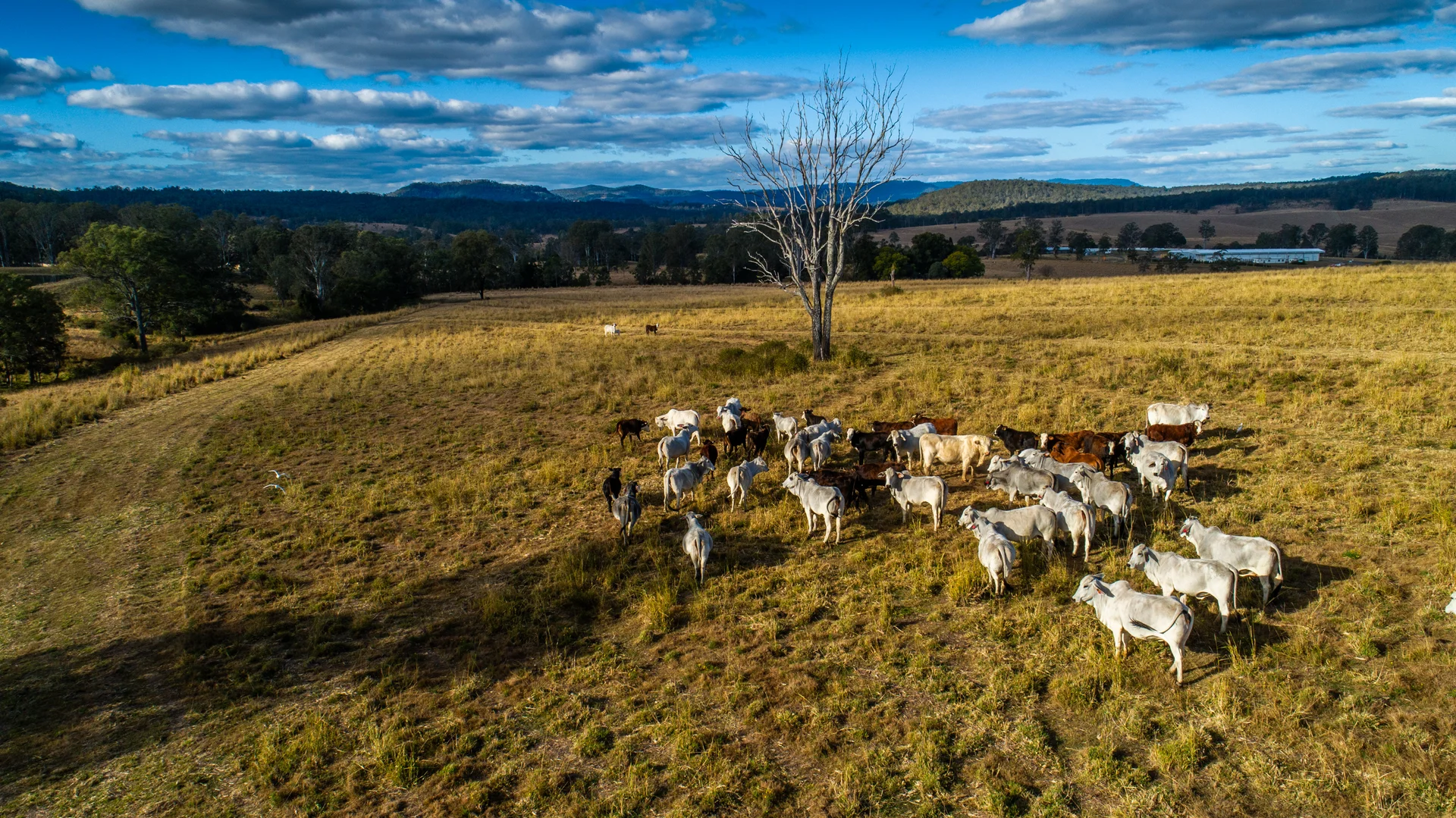 Additional image 30 of 991 Tabulam Road, Jacksons Flat NSW 2469